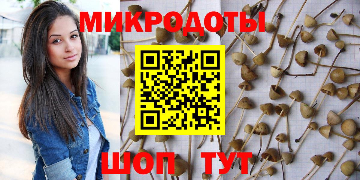 Аша  Псилоцибиновые грибы мухоморы  Вход с VPN 
